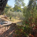 Casa In Maremma Daire