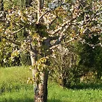 Daire Casa In Maremma
