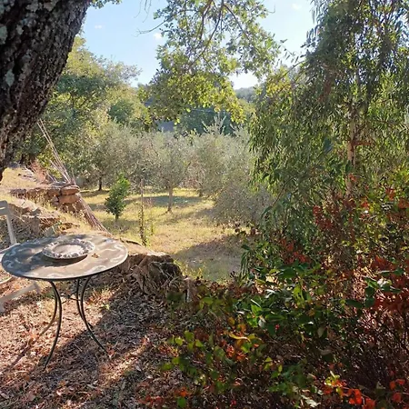 Casa In Maremma Lejlighed