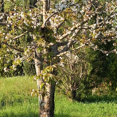 Lejlighed Casa In Maremma