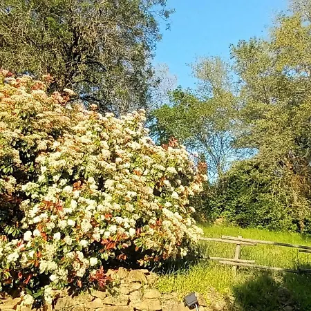 Casa In Maremma 아파트